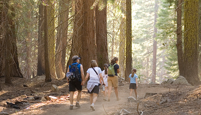 Myoif-yosemite-multisport-11